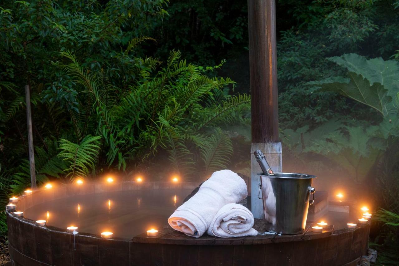 Petrohue Lodge المظهر الخارجي الصورة