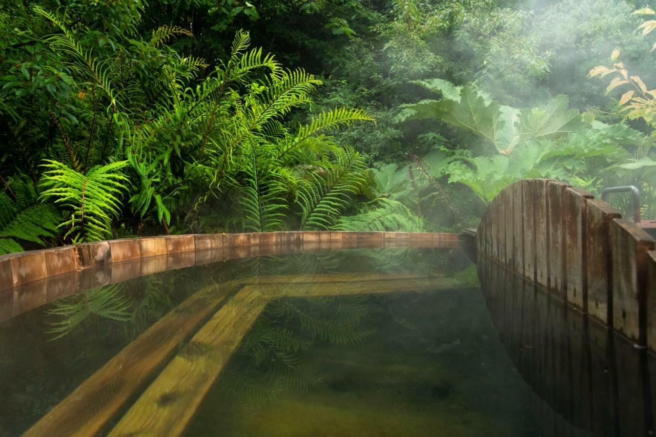 Petrohue Lodge المظهر الخارجي الصورة